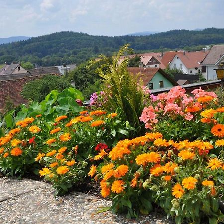 Gasthof Adler Guettingen Guttingen Esterno foto