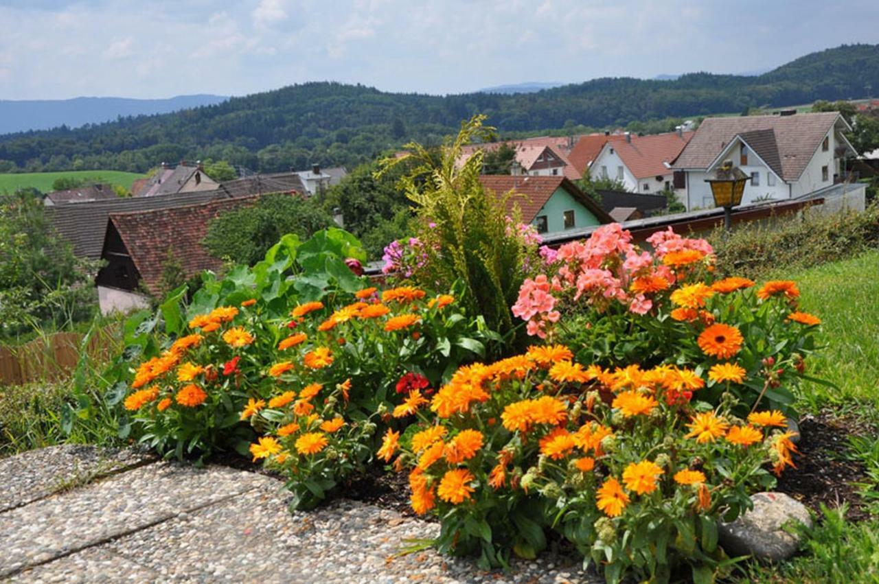 Gasthof Adler Guettingen Guttingen Esterno foto